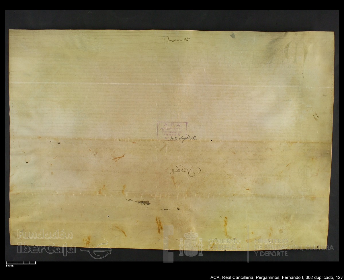 Carp.338,n302 dupl12v