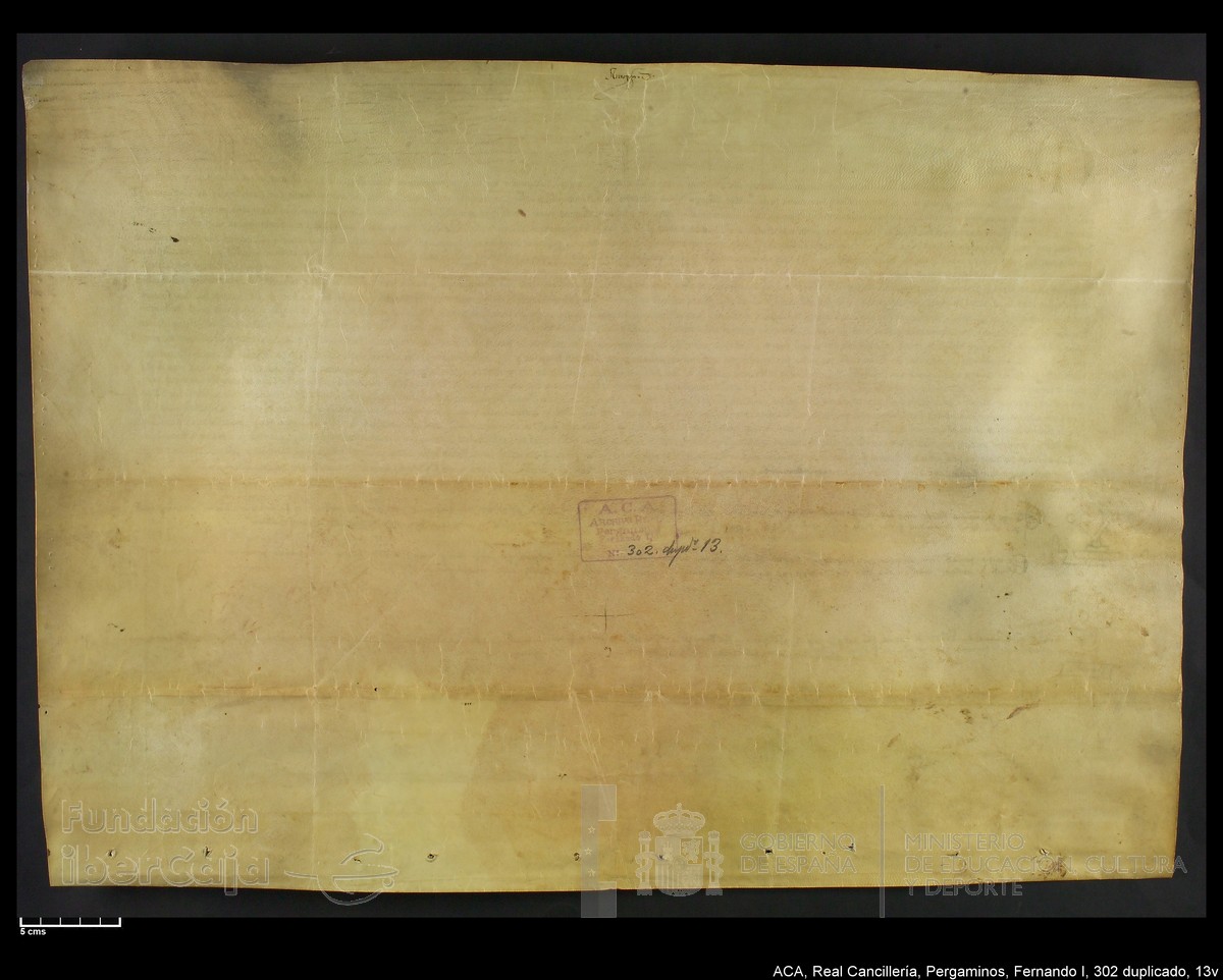 Carp.338,n302 dupl13v