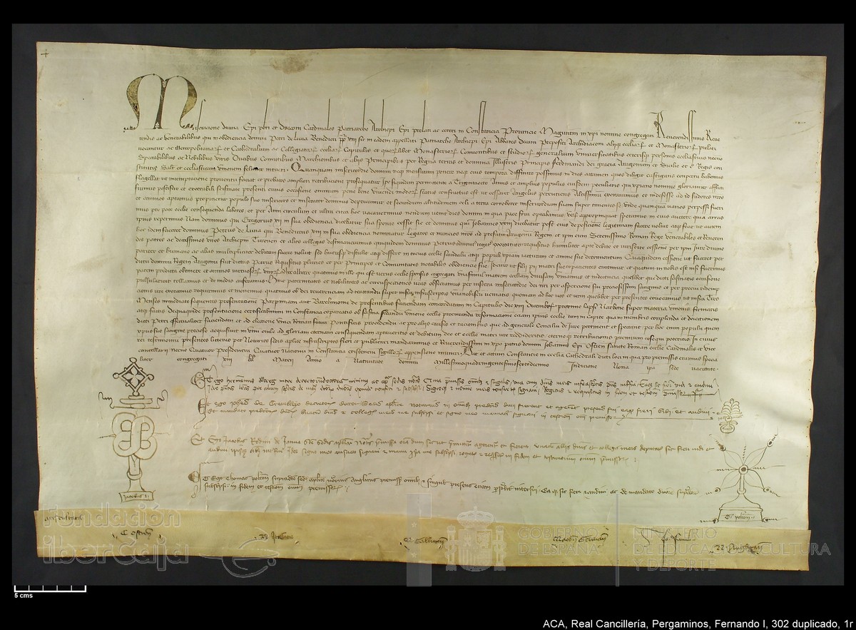 Carp.338,n302 dupl1r