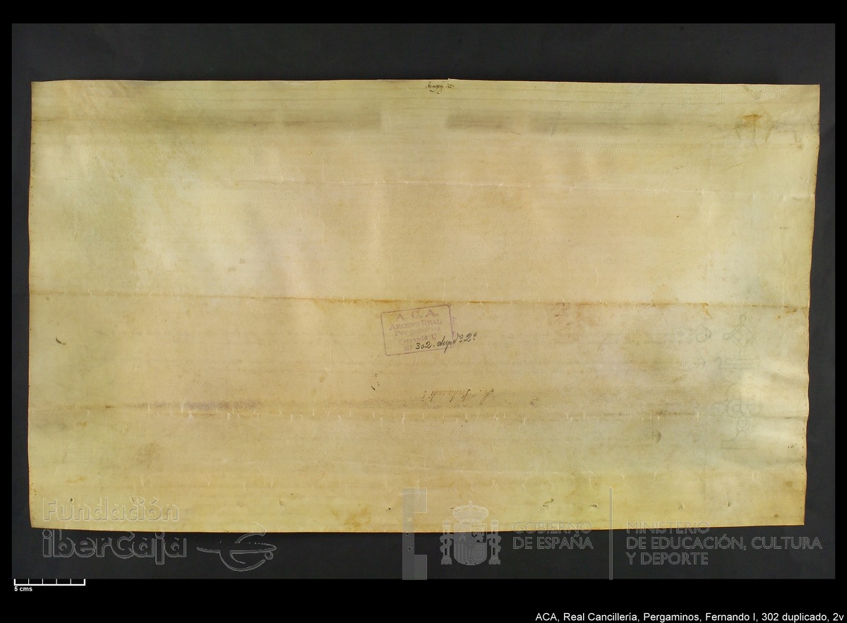 Carp.338,n302 dupl2v