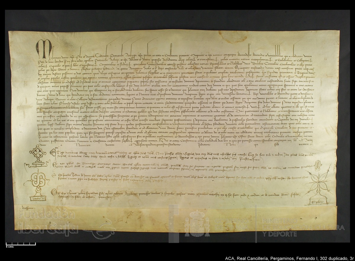 Carp.338,n302 dupl3r