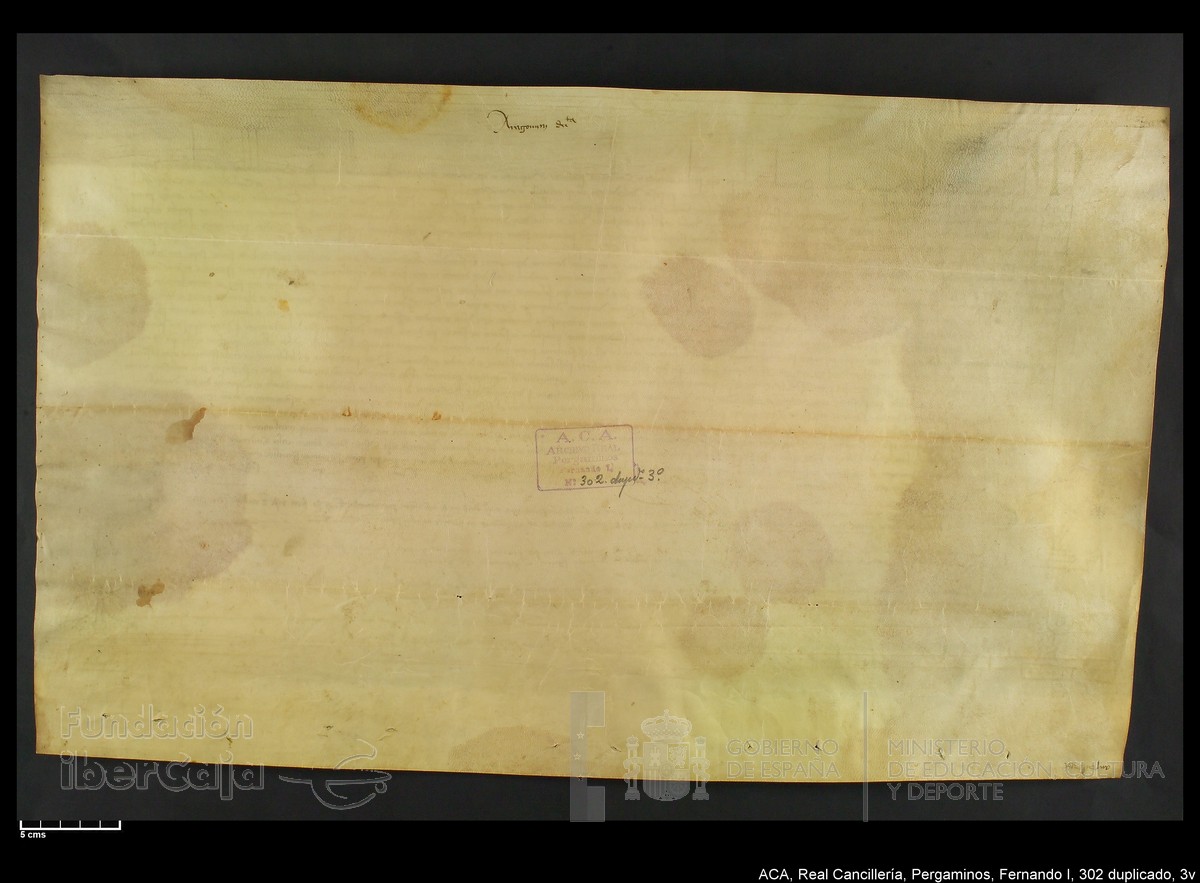 Carp.338,n302 dupl3v