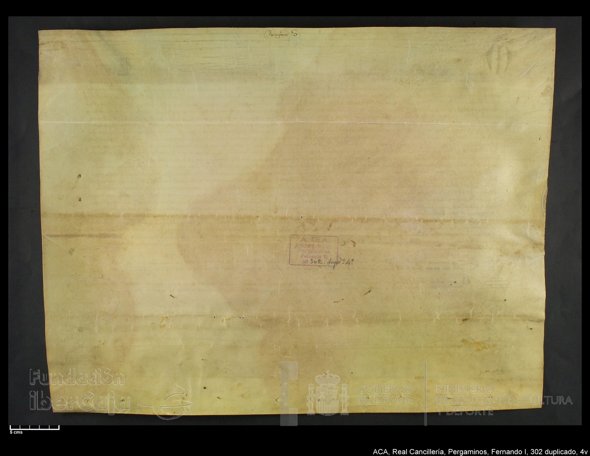 Carp.338,n302 dupl4v