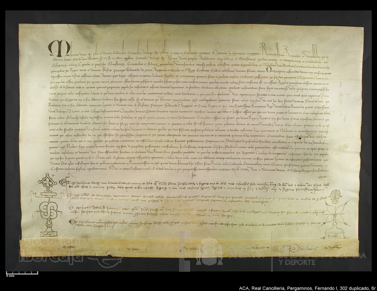 Carp.338,n302 dupl6r