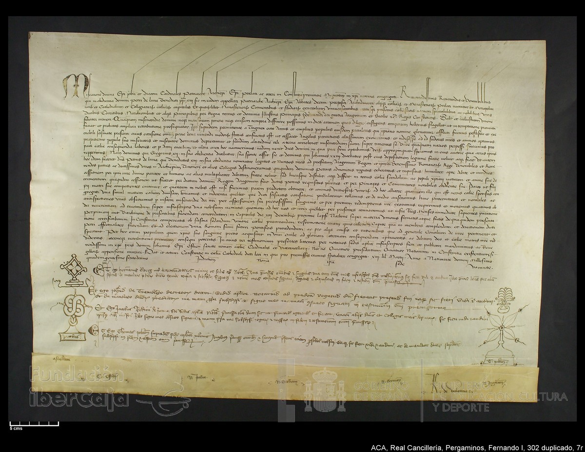 Carp.338,n302 dupl7r