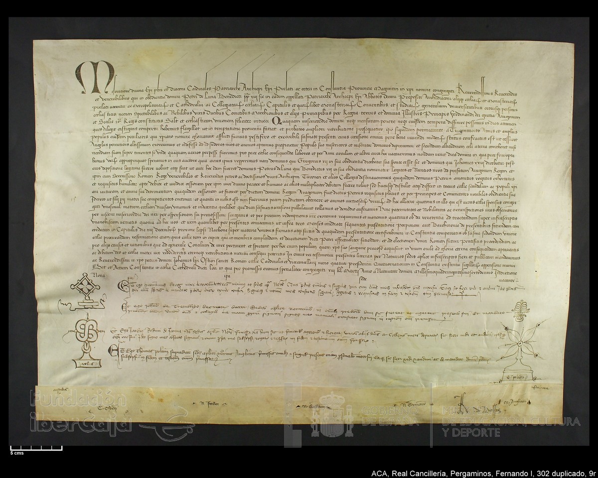 Carp.338,n302 dupl9r