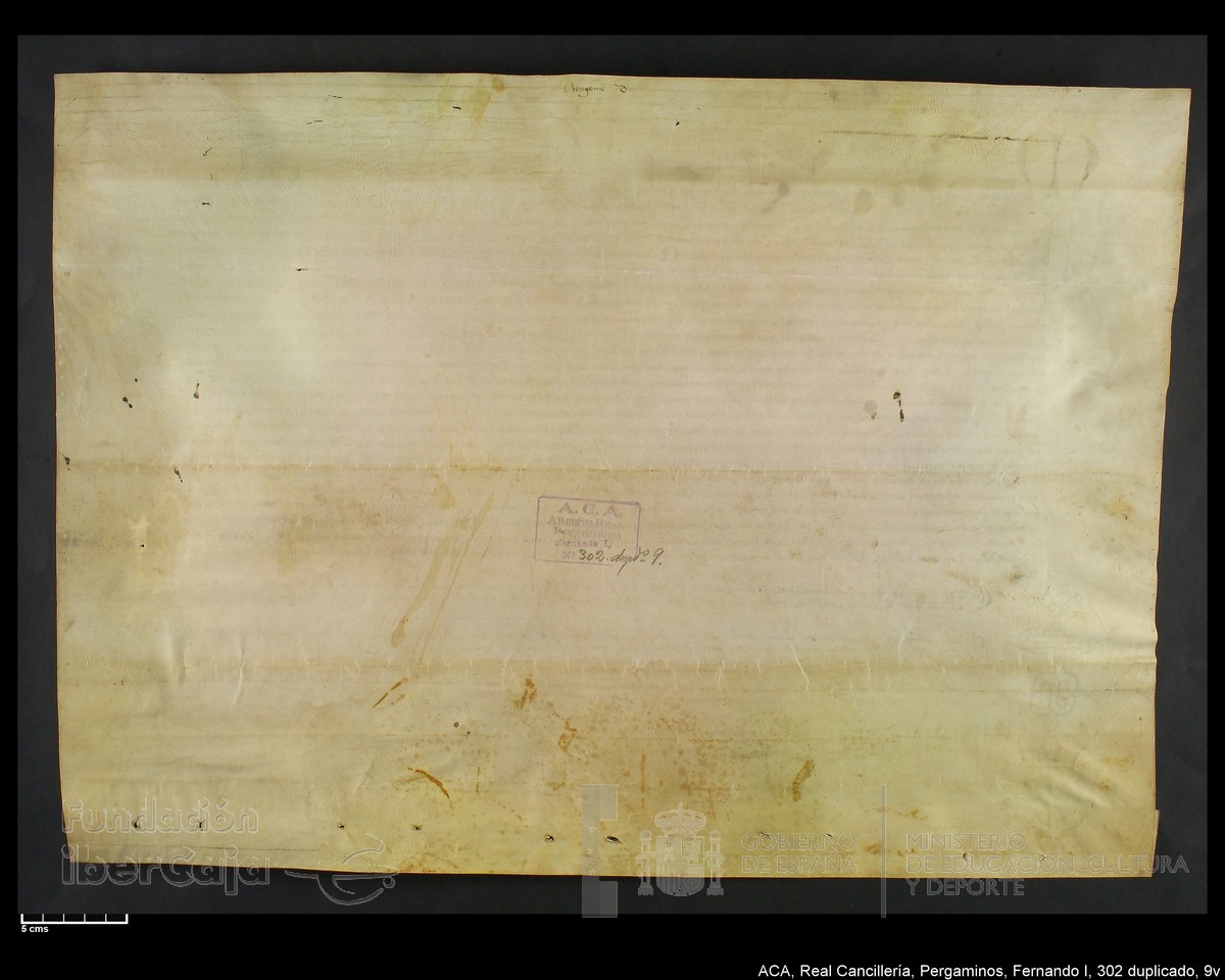 Carp.338,n302 dupl9v