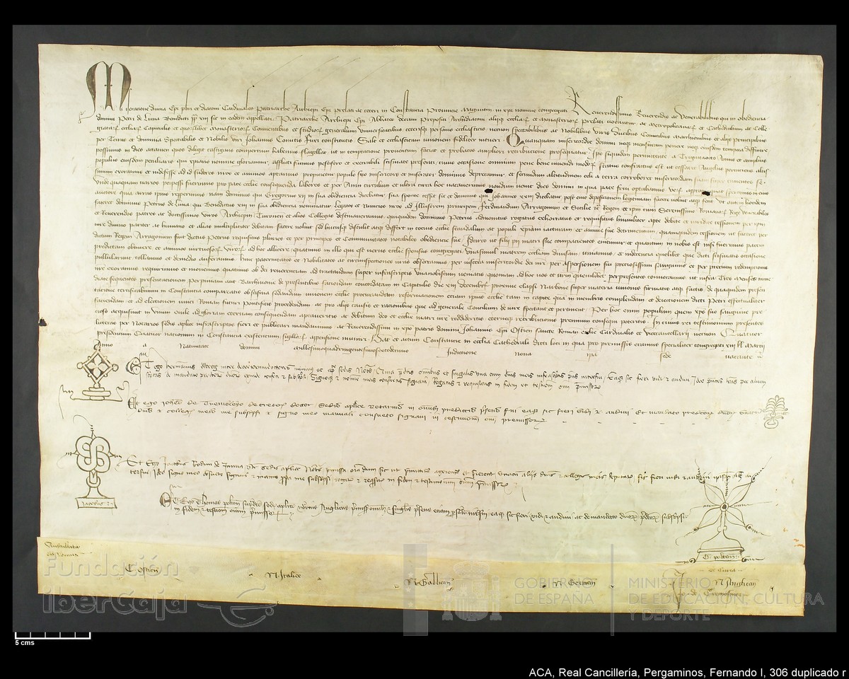 Carp.339,n306 dupl r