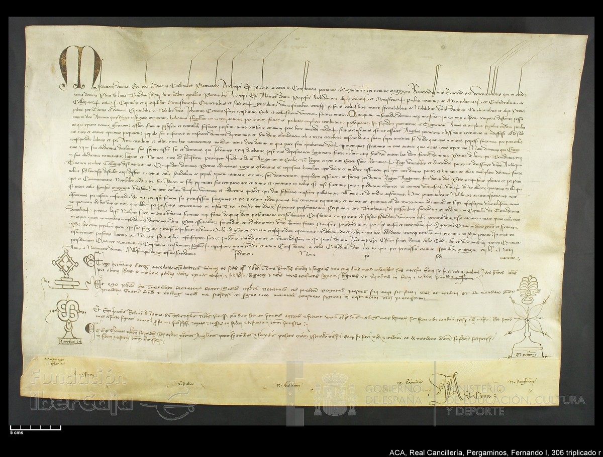 Carp.339,n306 tripl r