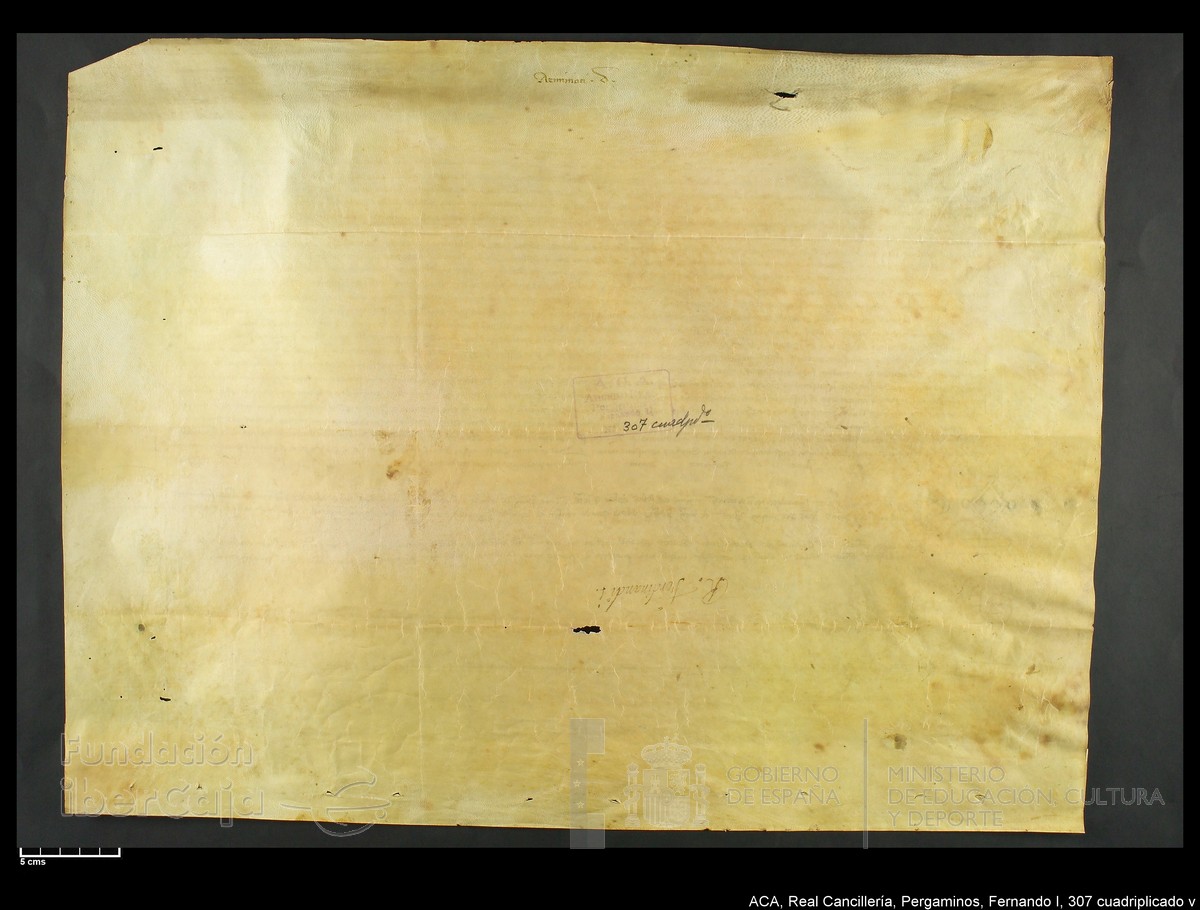 Carp.339,n307 cuadrupl v