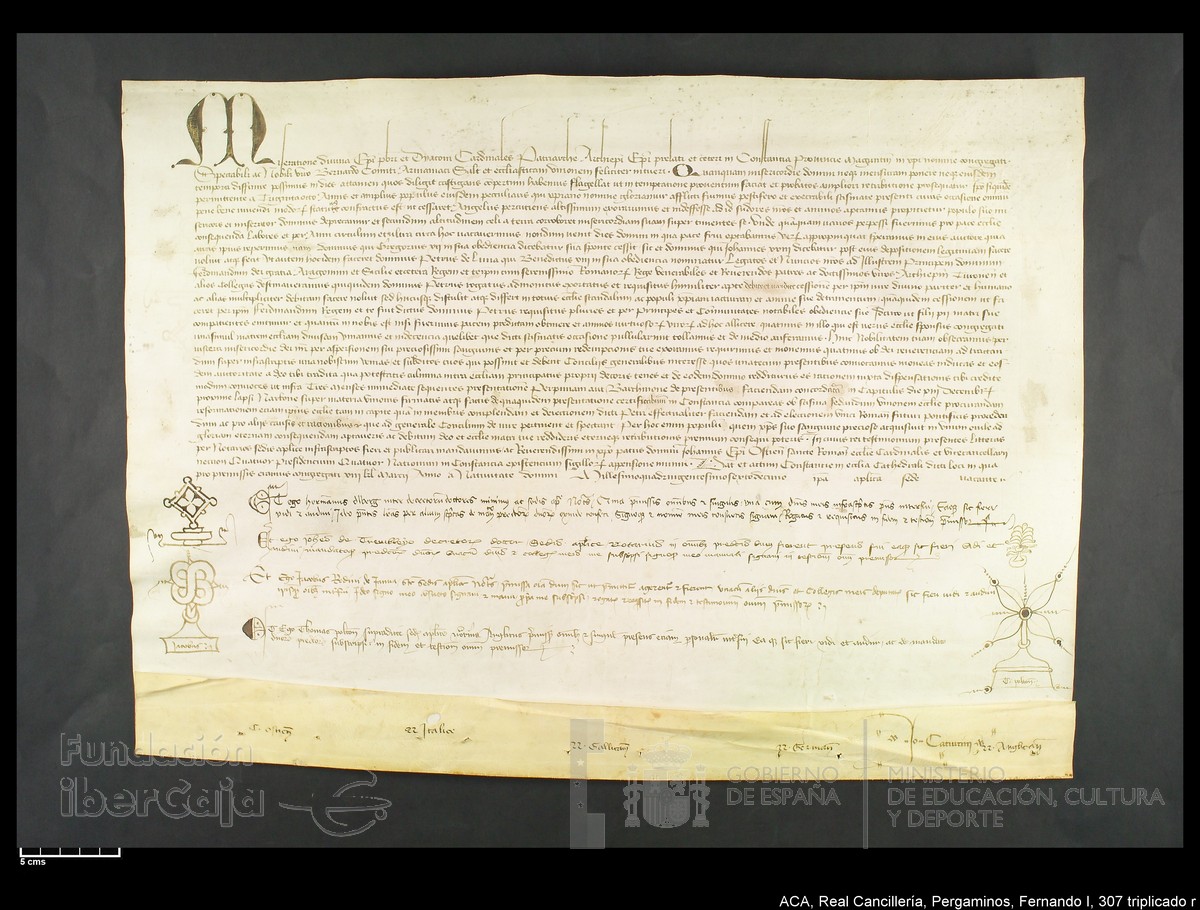 Carp.339,n307 tripl r