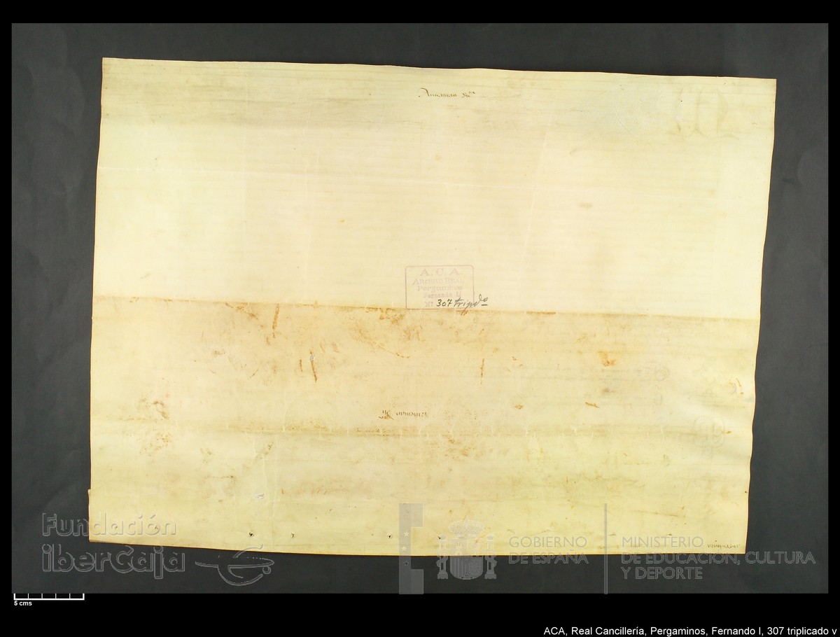 Carp.339,n307 tripl v