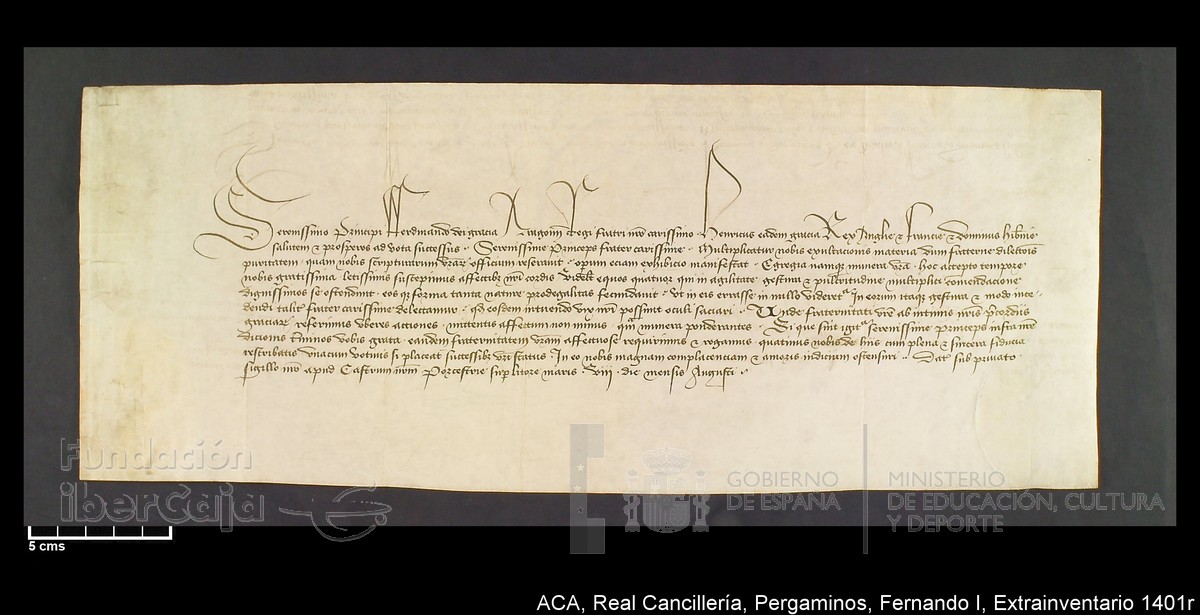 Carp.339,Extrainv. n1401r