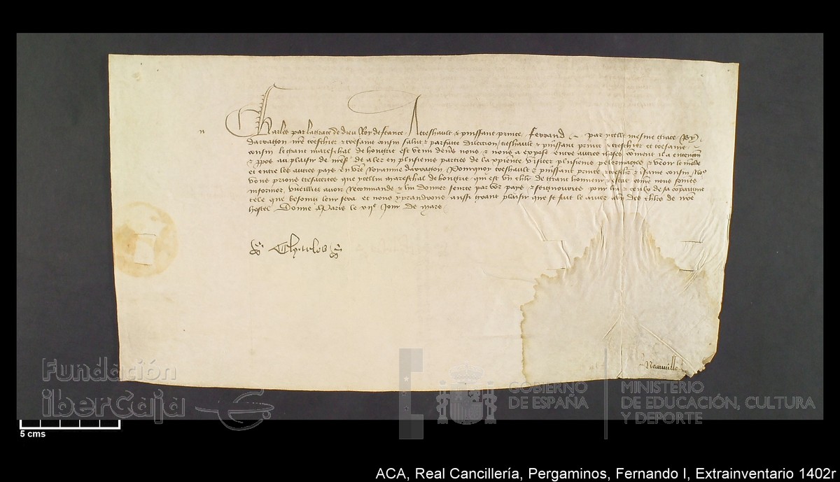 Carp.339,Extrainv. n1402r