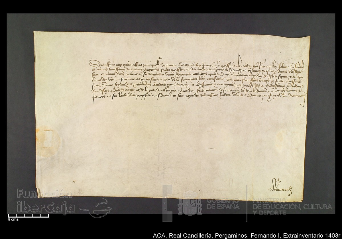 Carp.339,Extrainv. n1403r