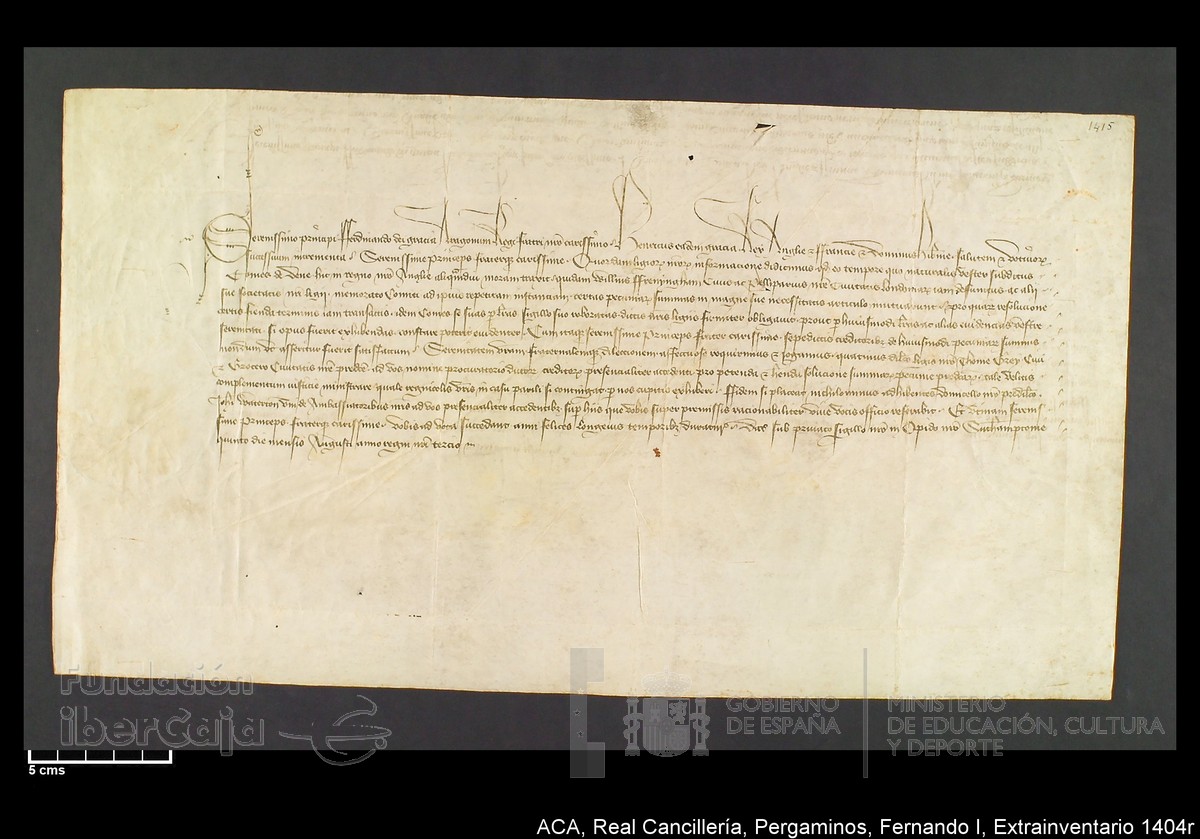 Carp.339,Extrainv. n1404r