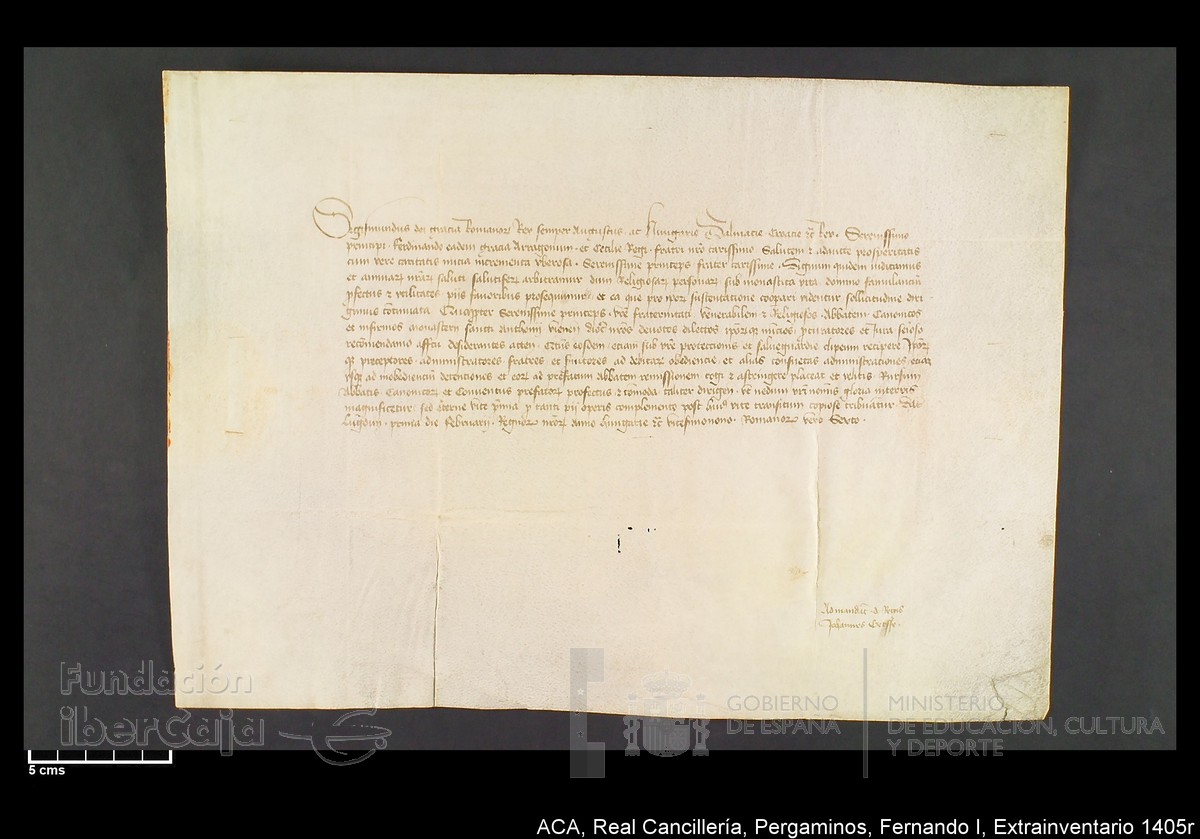 Carp.339,Extrainv. n1405r