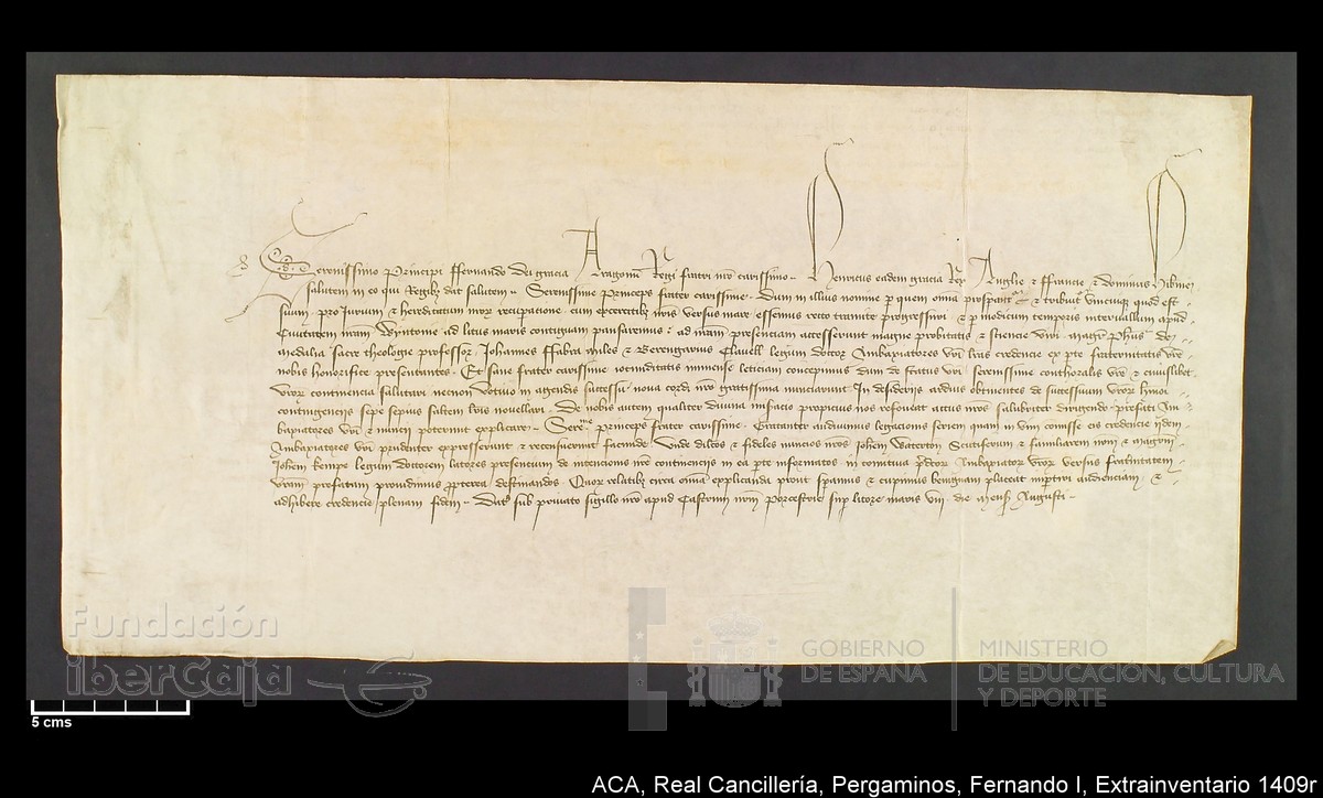 Carp.339,Extrainv. n1409r