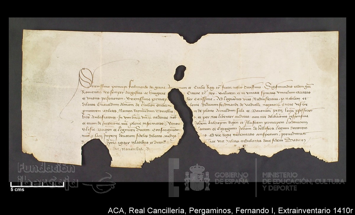 Carp.339,Extrainv. n1410r