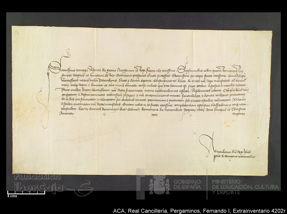 Carp.339,Extrainv. n4202r