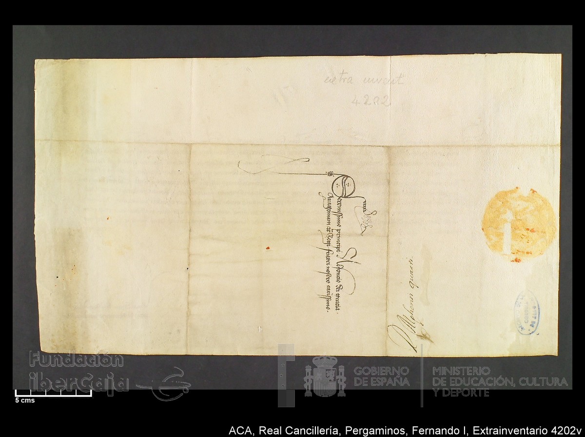 Carp.339,Extrainv. n4202v