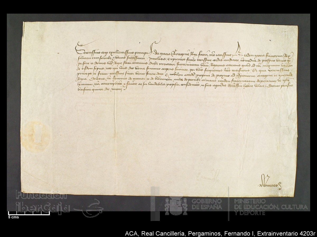 Carp.339,Extrainv. n4203r