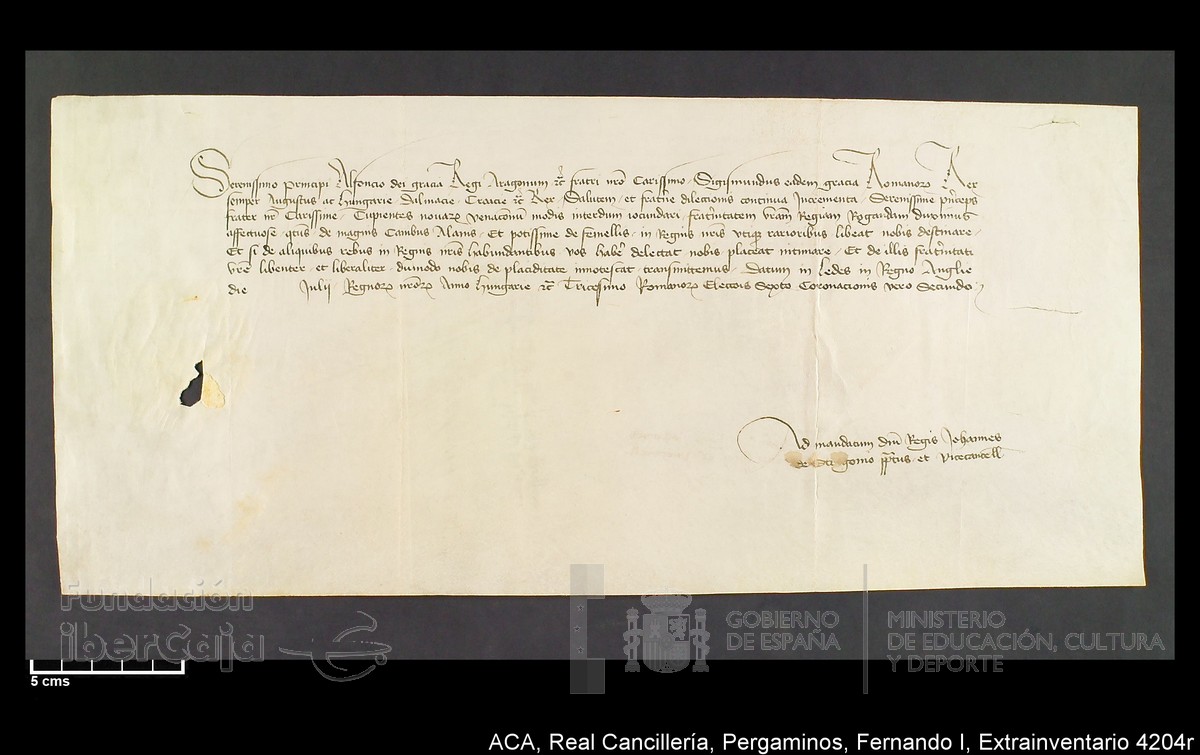 Carp.339,Extrainv. n4204r