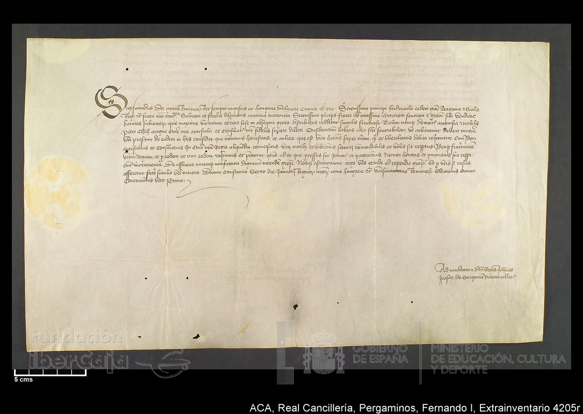 Carp.339,Extrainv. n4205r