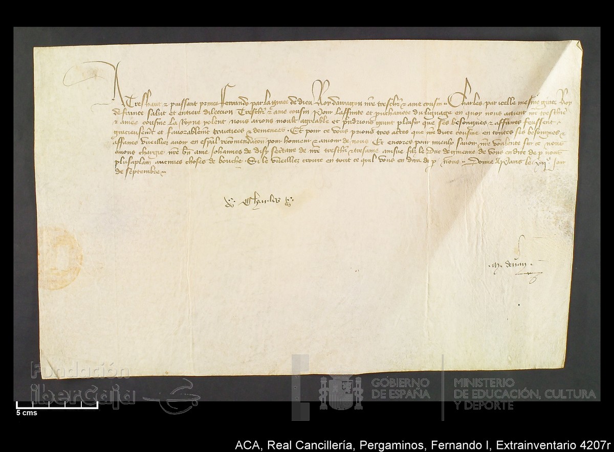 Carp.339,Extrainv. n4207r