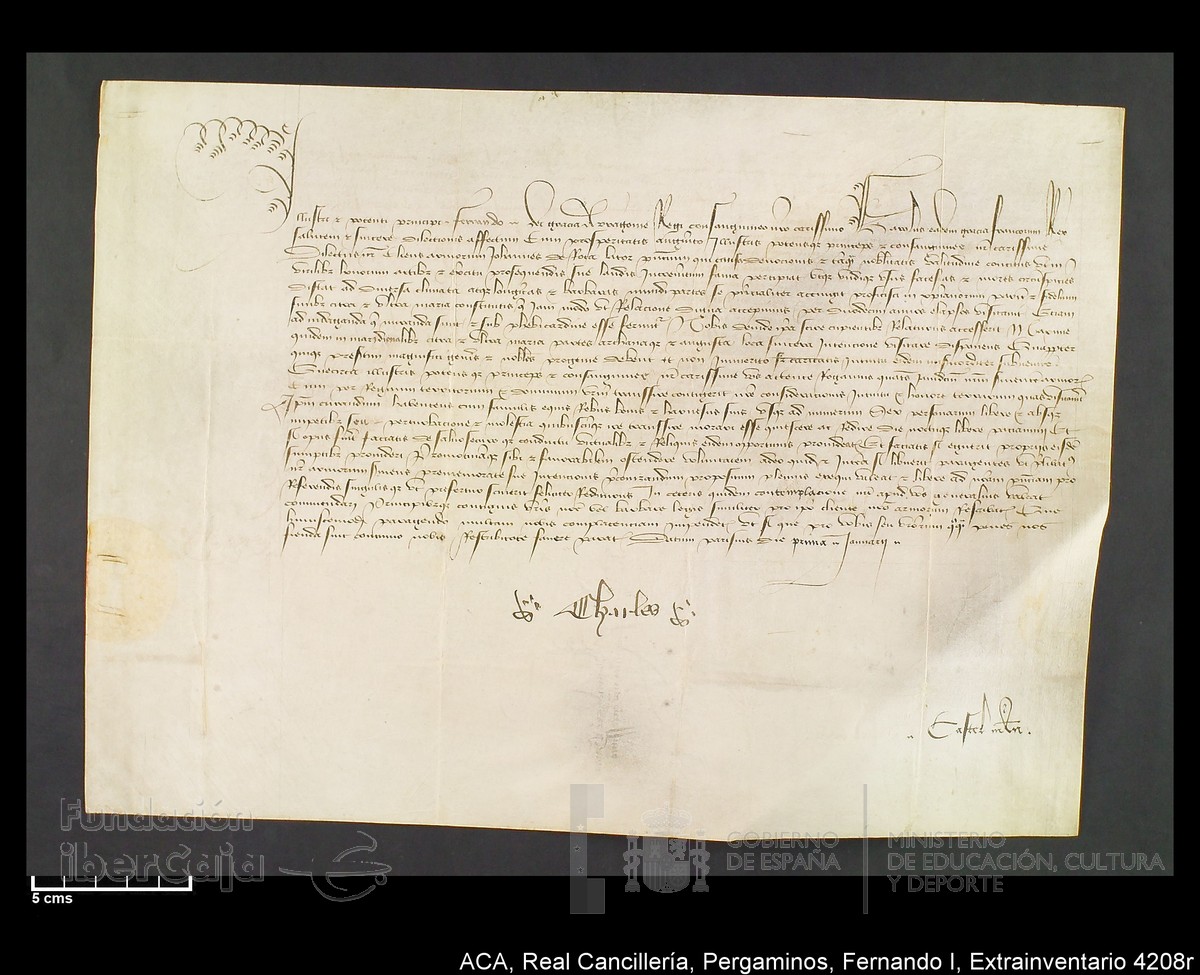 Carp.339,Extrainv. n4208r