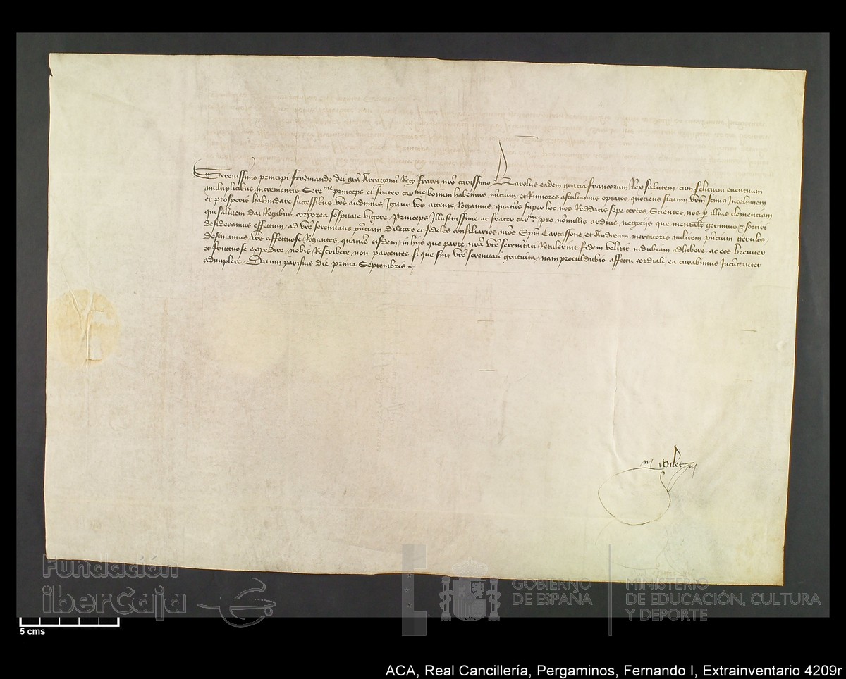 Carp.339,Extrainv. n4209r