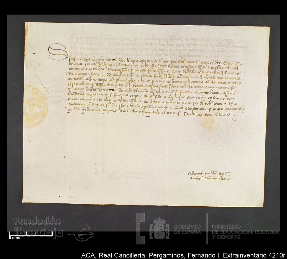 Carp.339,Extrainv. n4210r