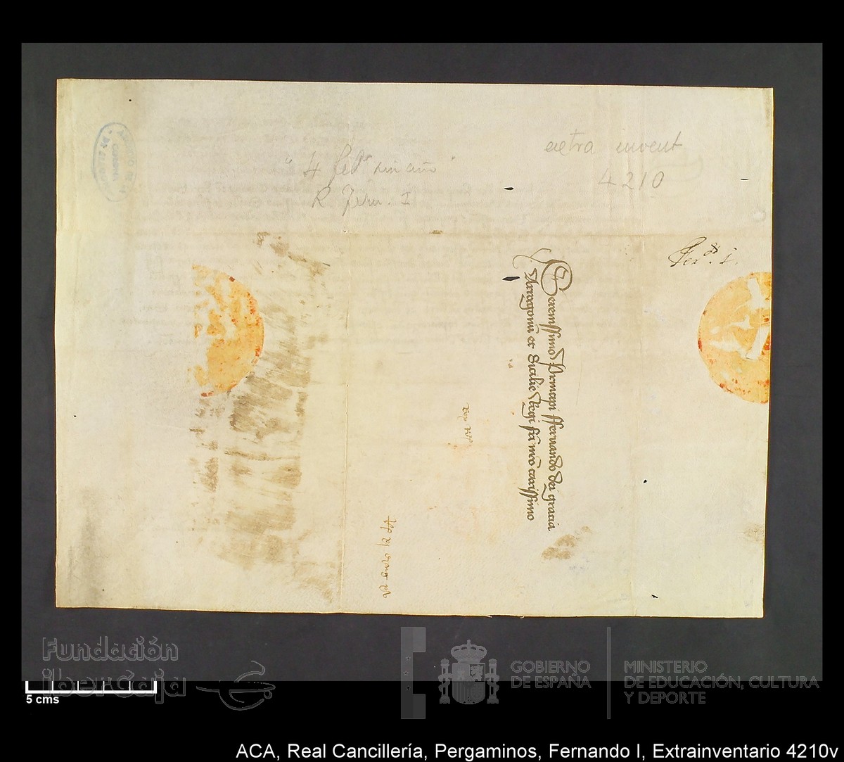 Carp.339,Extrainv. n4210v