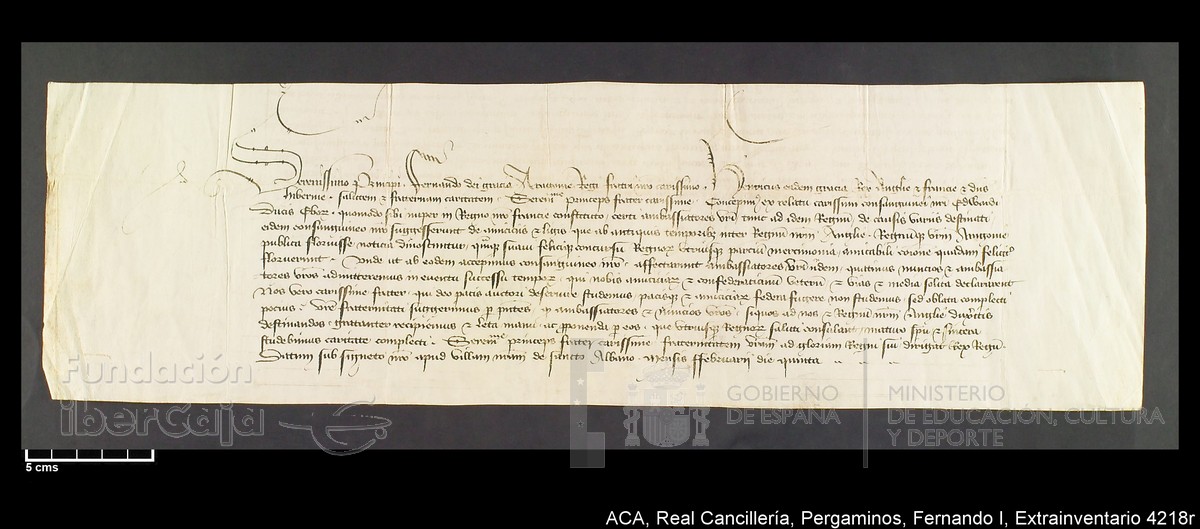 Carp.339,Extrainv. n4218r