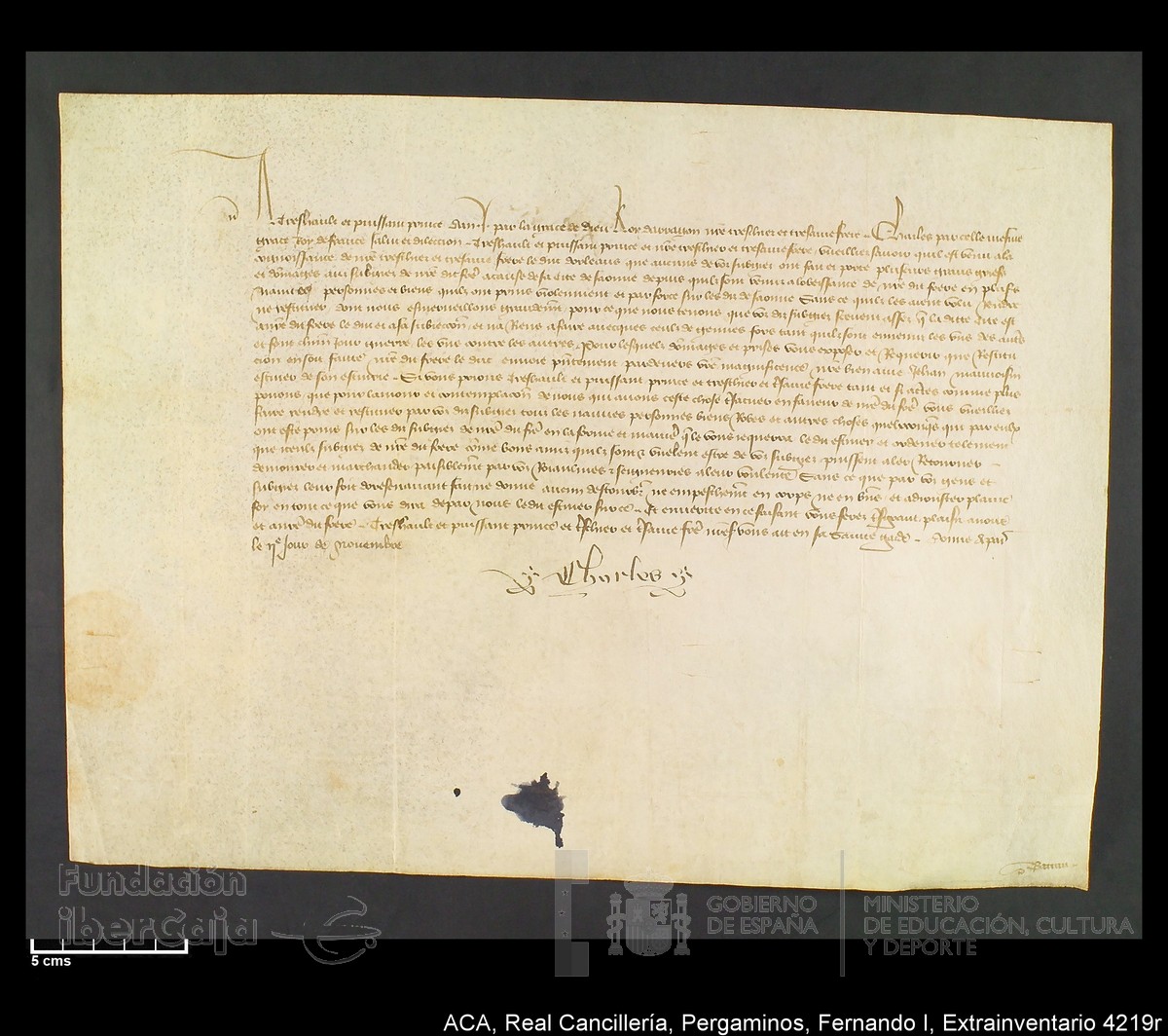 Carp.339,Extrainv. n4219r