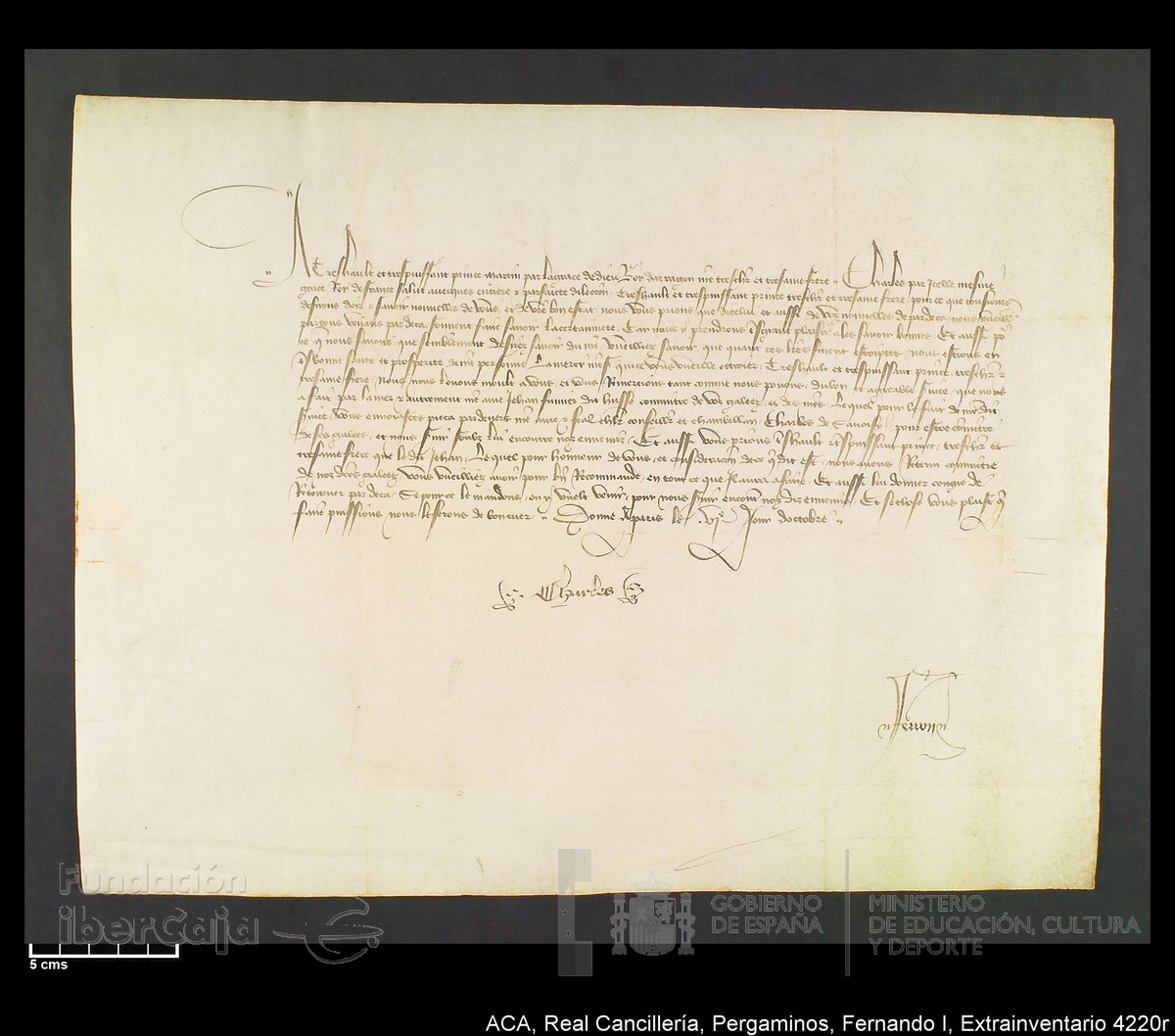 Carp.339,Extrainv. n4220r