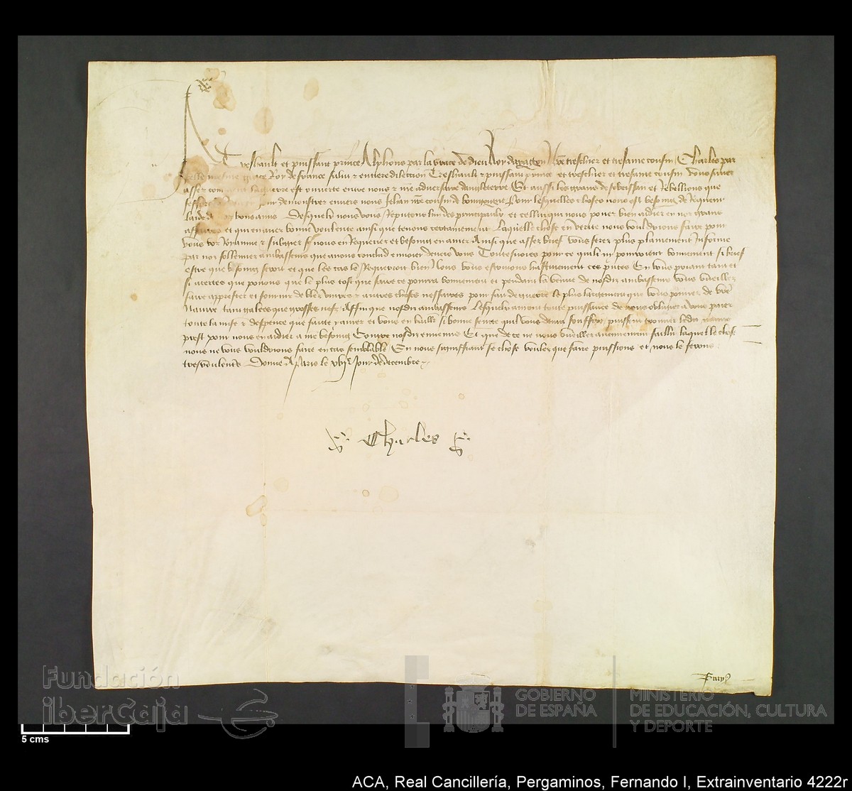 Carp.339,Extrainv. n4222r