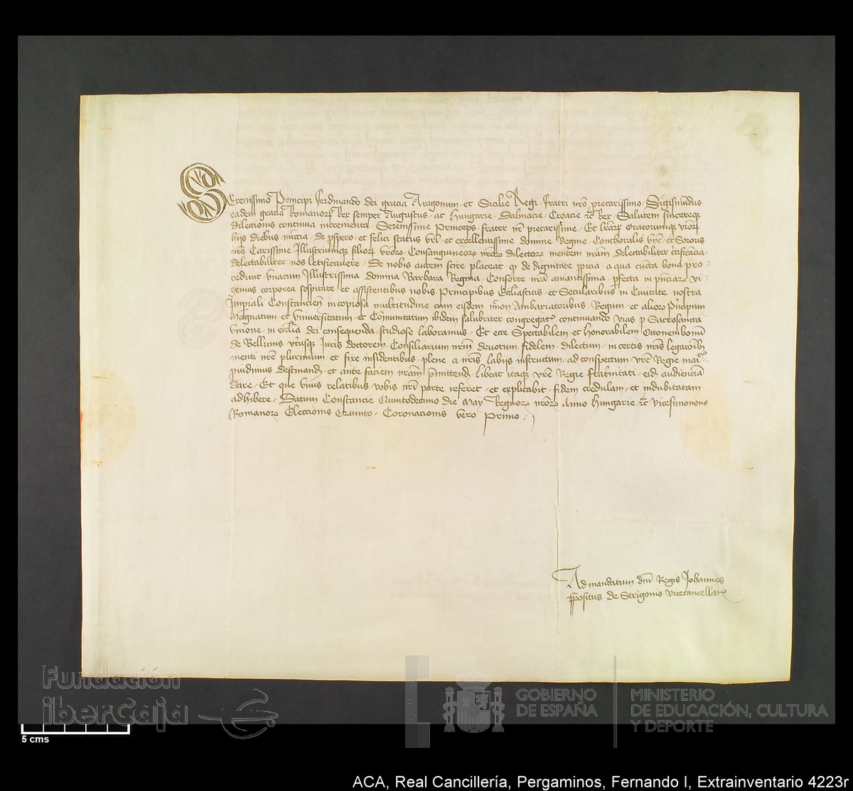 Carp.339,Extrainv. n4223r