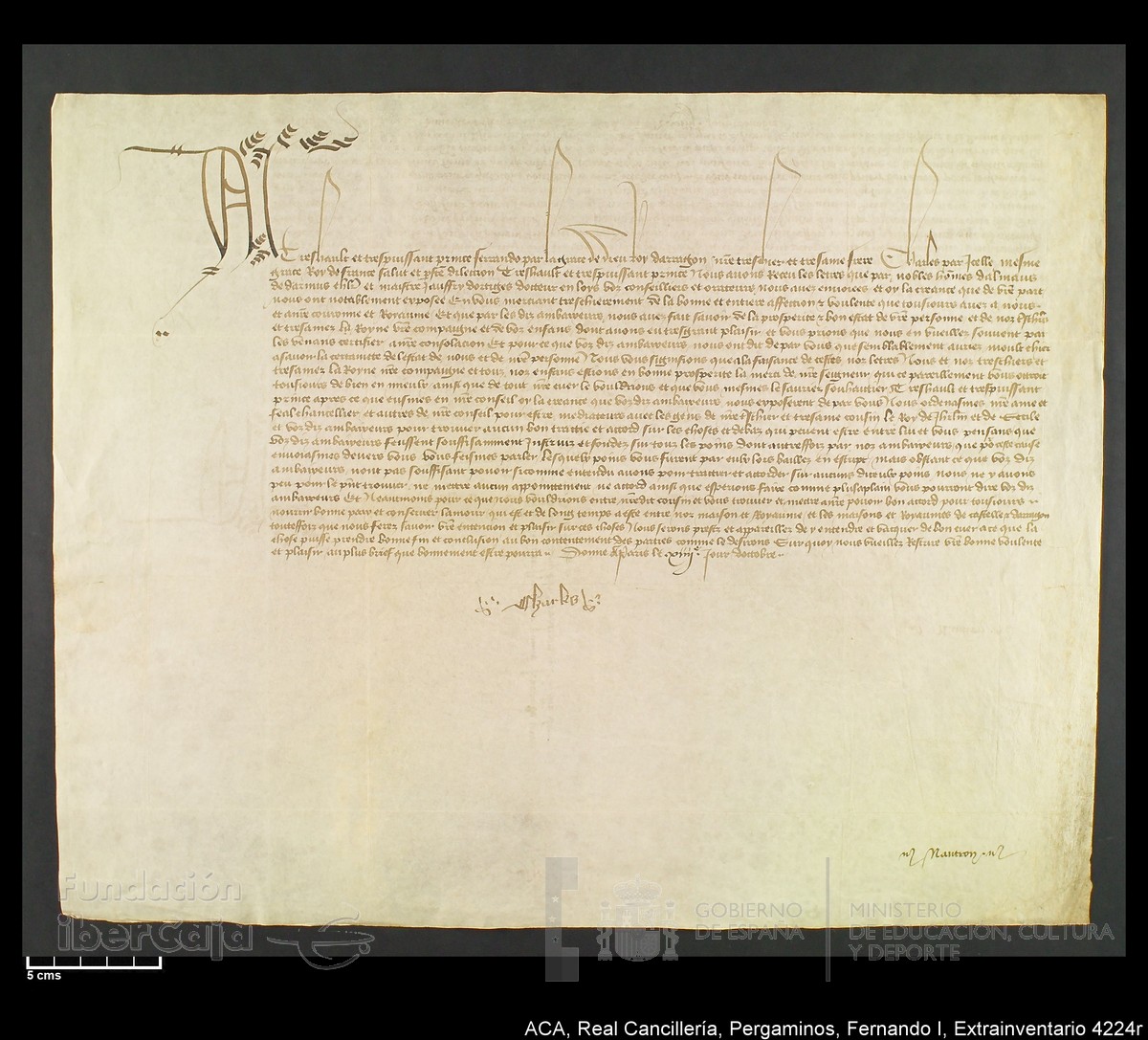 Carp.339,Extrainv. n4224r