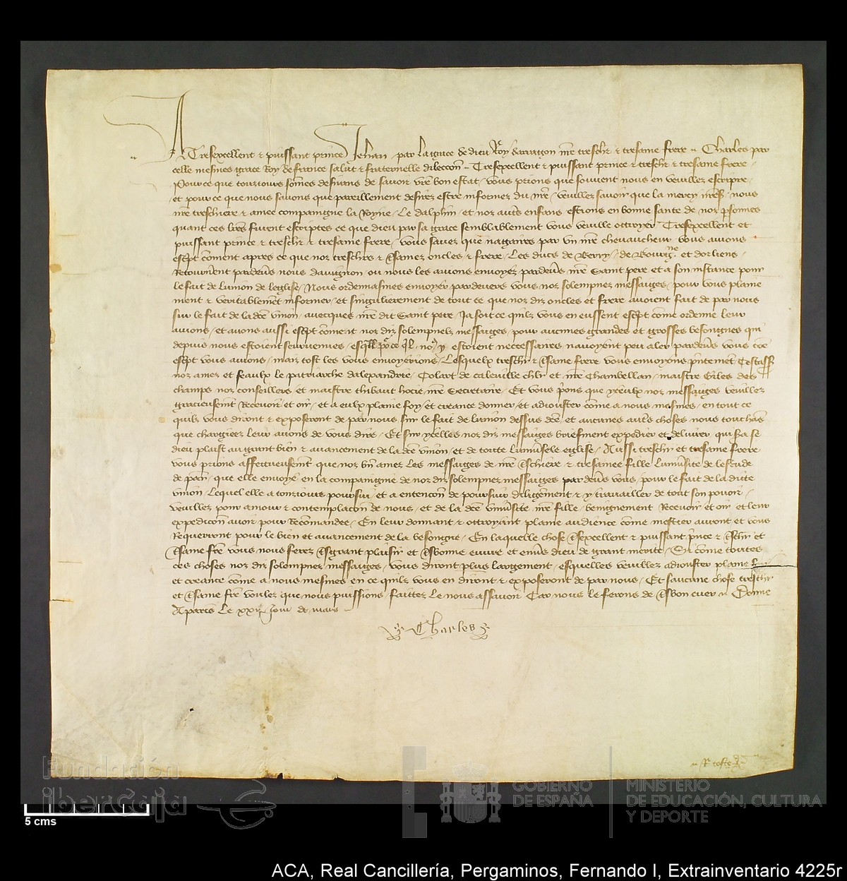 Carp.339,Extrainv. n4225r