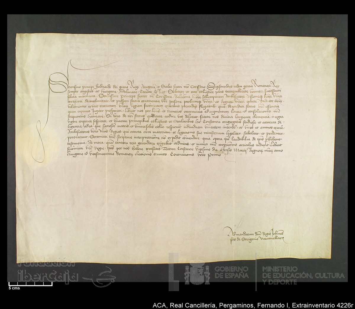 Carp.339,Extrainv. n4226r