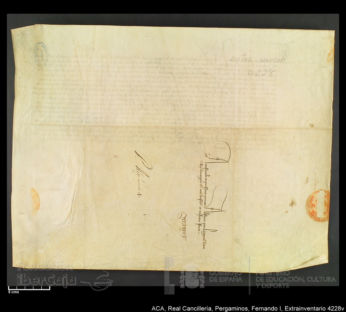 Carp.339,Extrainv. n4228v