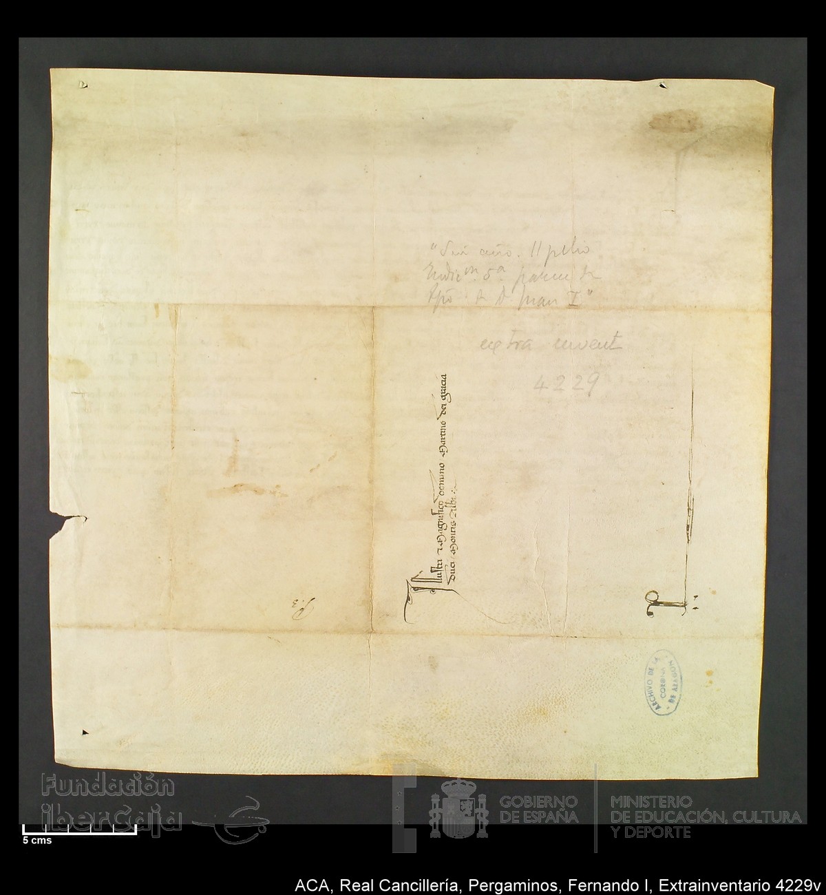 Carp.339,Extrainv. n4229v