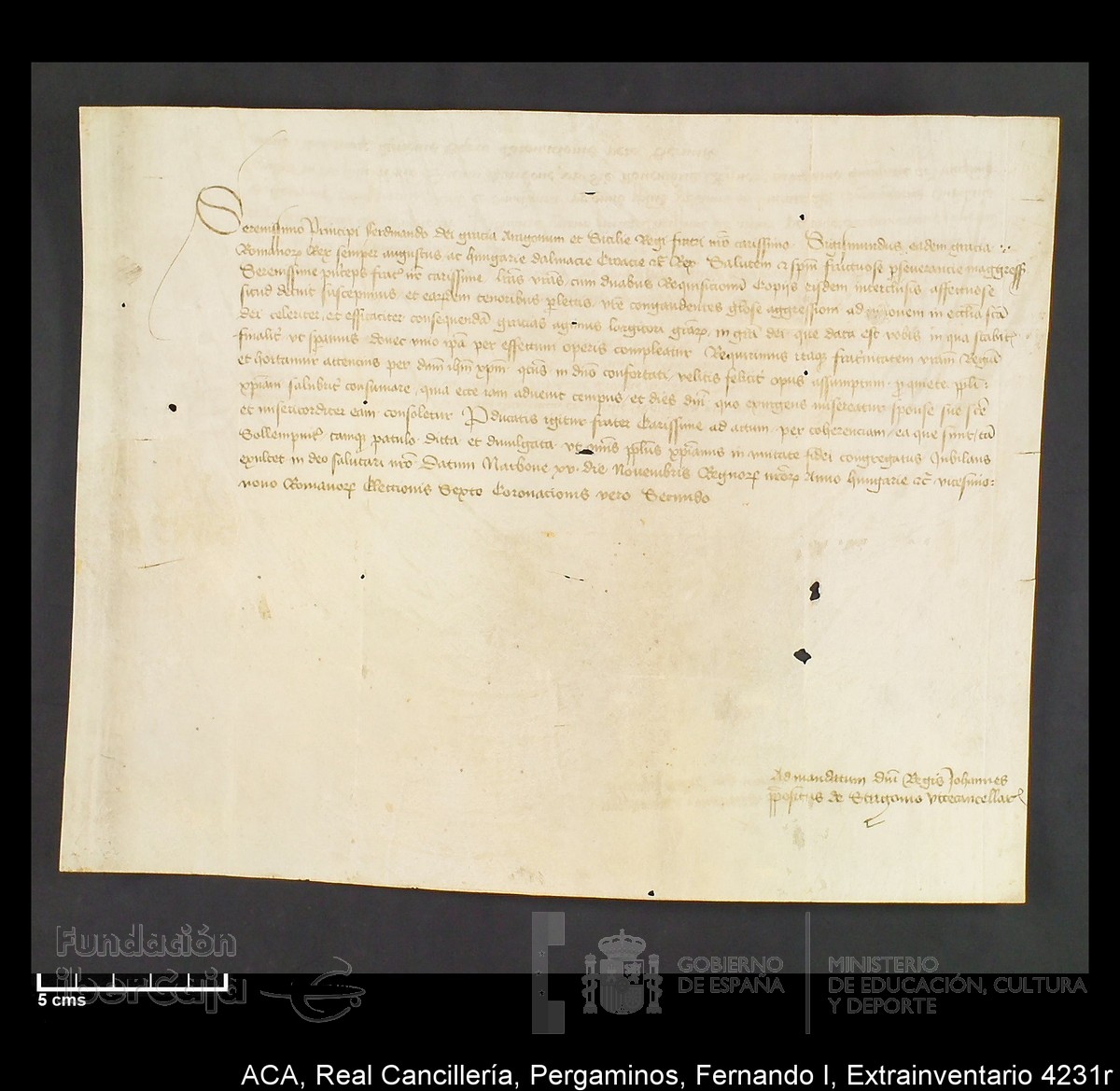 Carp.339,Extrainv. n4231r