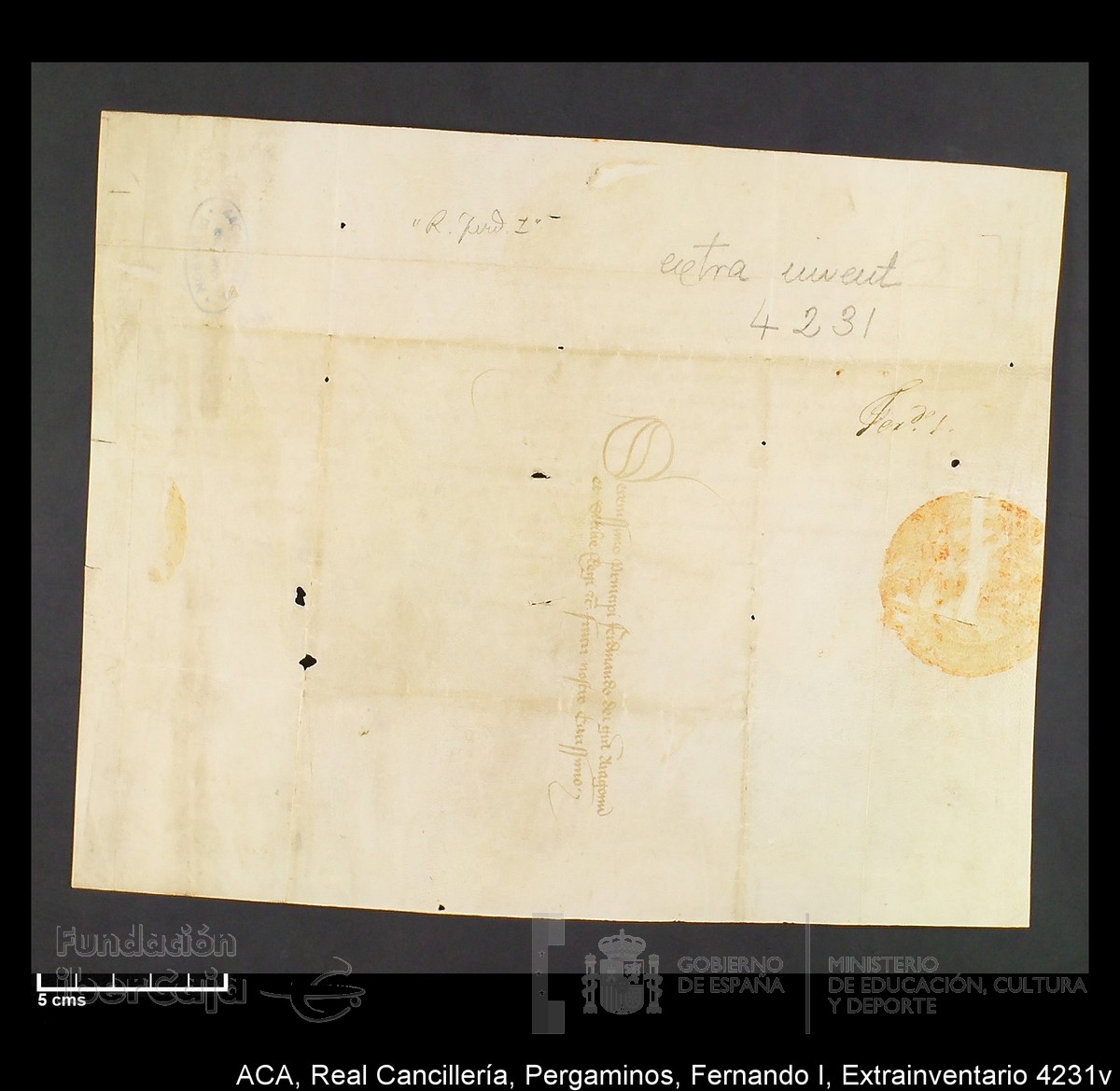 Carp.339,Extrainv. n4231v