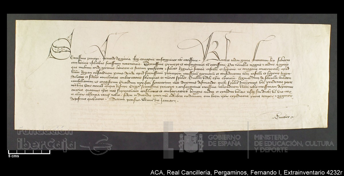 Carp.339,Extrainv. n4232r