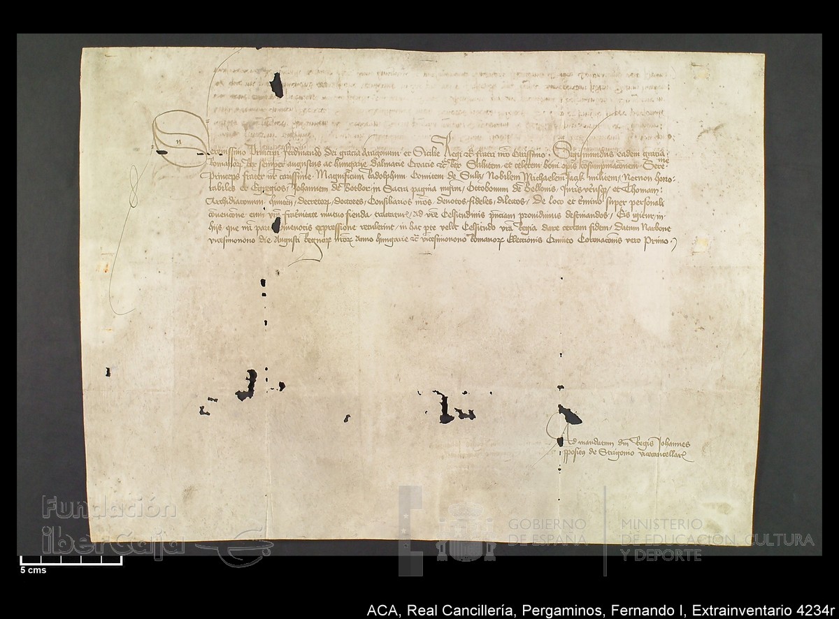 Carp.339,Extrainv. n4234r