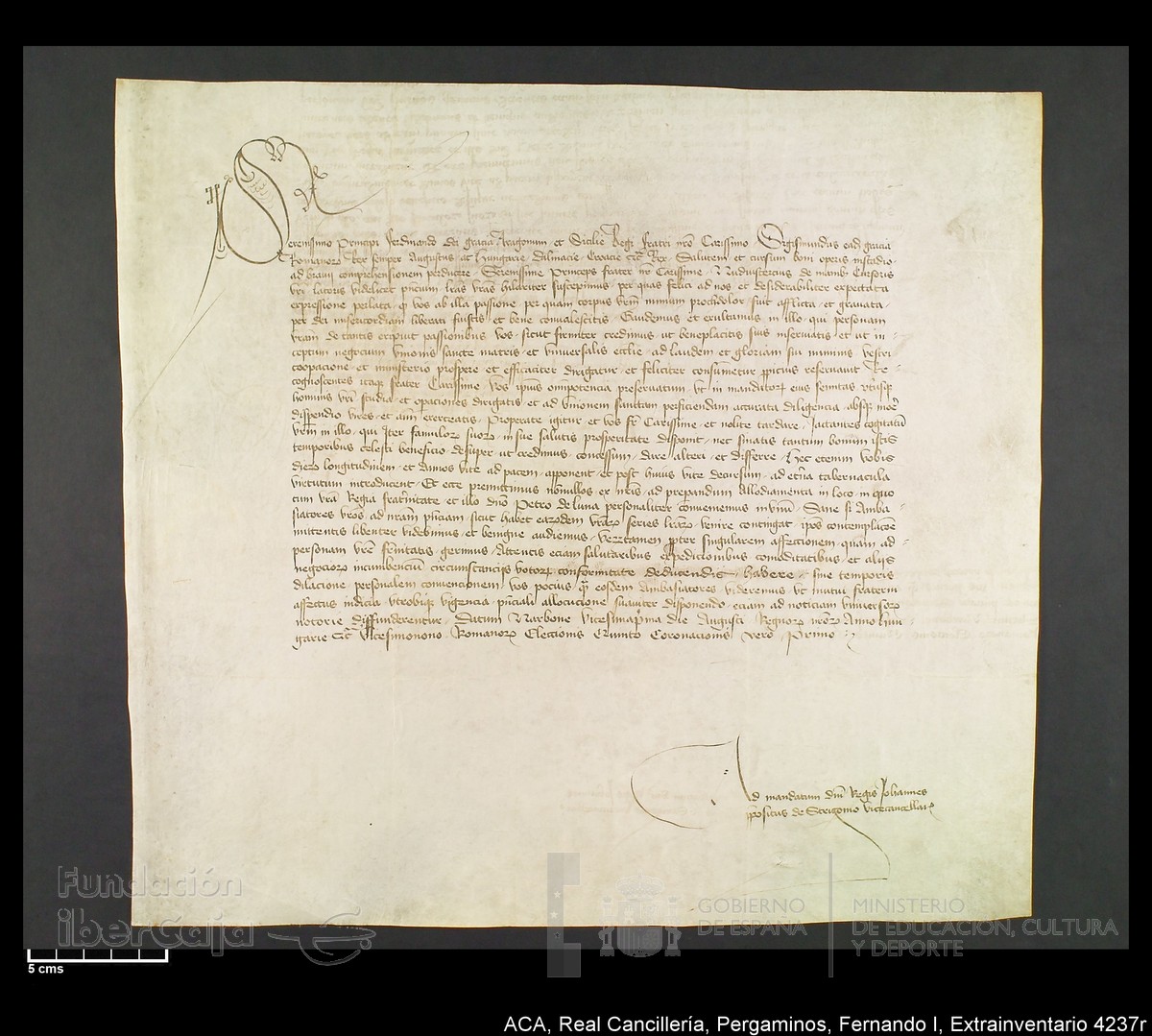 Carp.339,Extrainv. n4237r