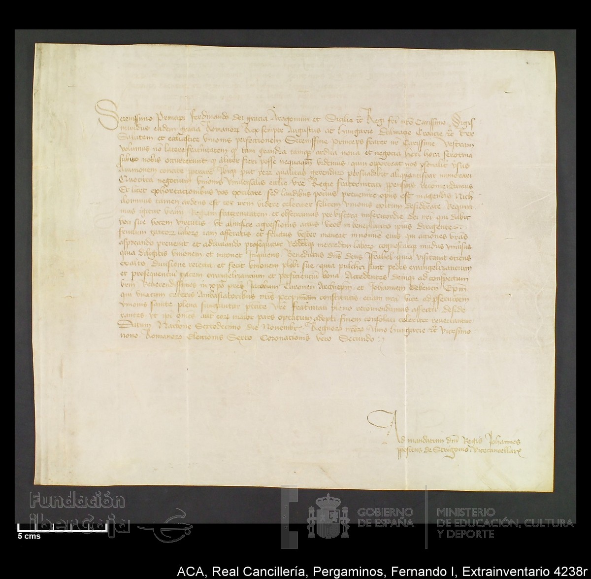 Carp.339,Extrainv. n4238r