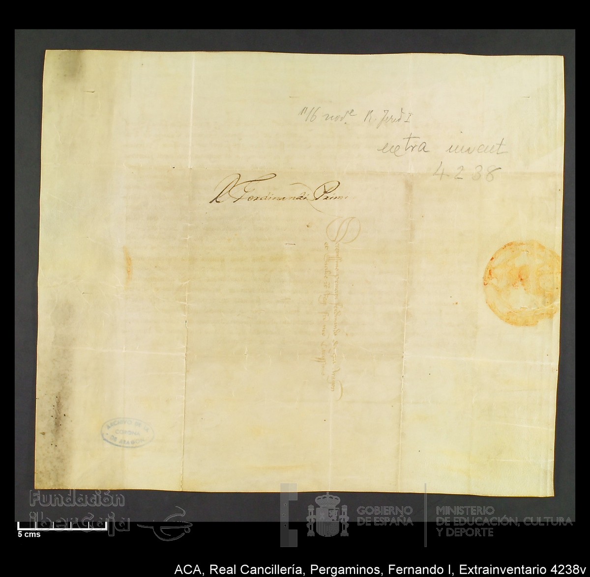 Carp.339,Extrainv. n4238v